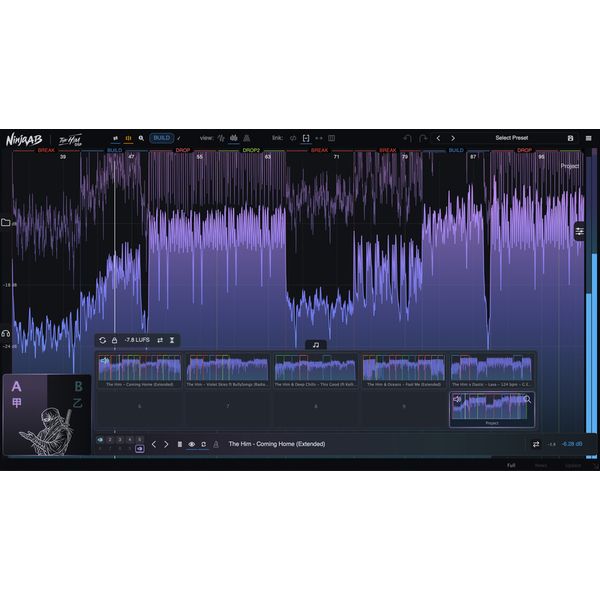 The Him DSP Ninja AB