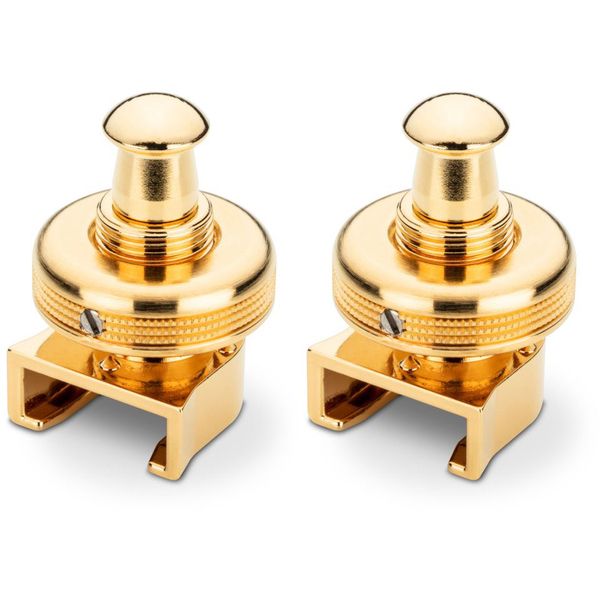 Schaller Locks for S-Locks Gold