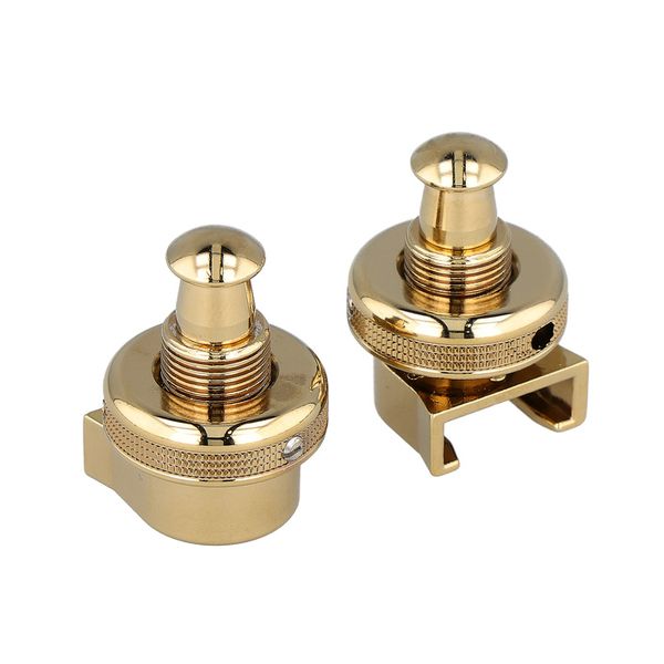 Schaller Locks for S-Locks Gold