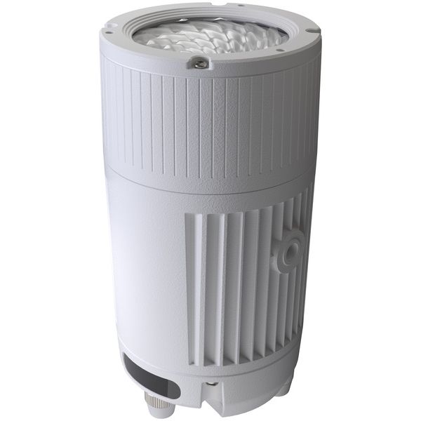 Nexus Lights Uplight White Bundle