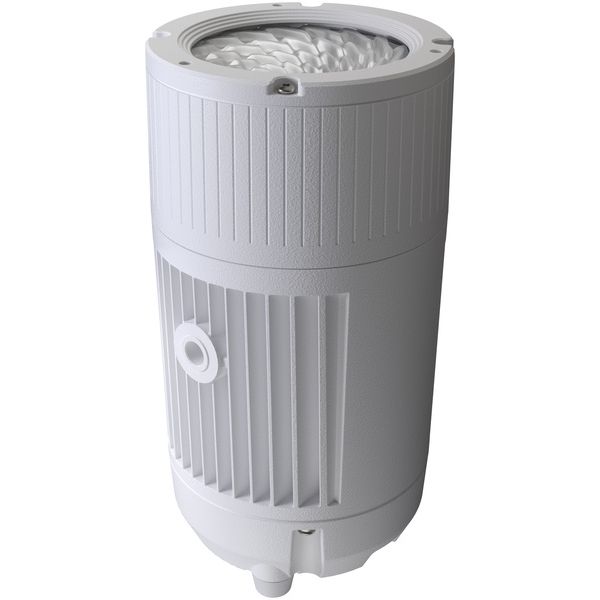 Nexus Lights Uplight White Bundle
