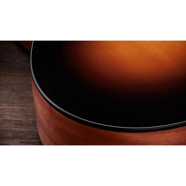 Taylor 117e Special Edition DTB