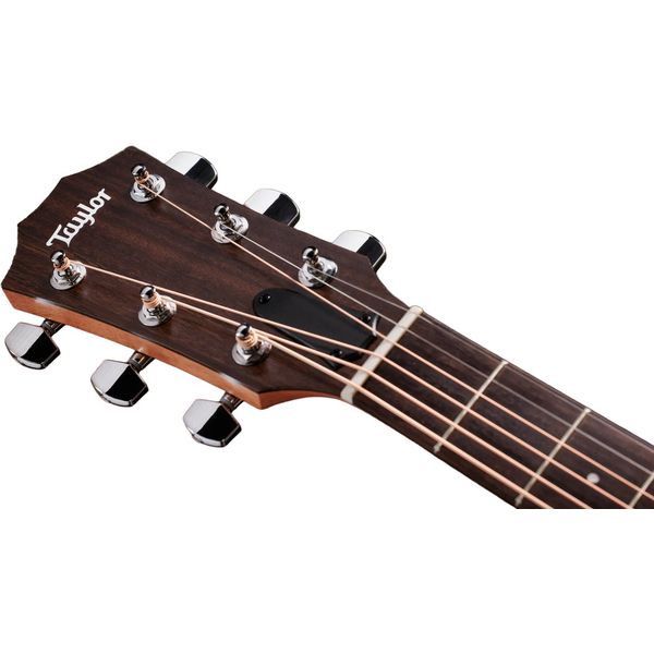 Taylor 117e Special Edition DTB