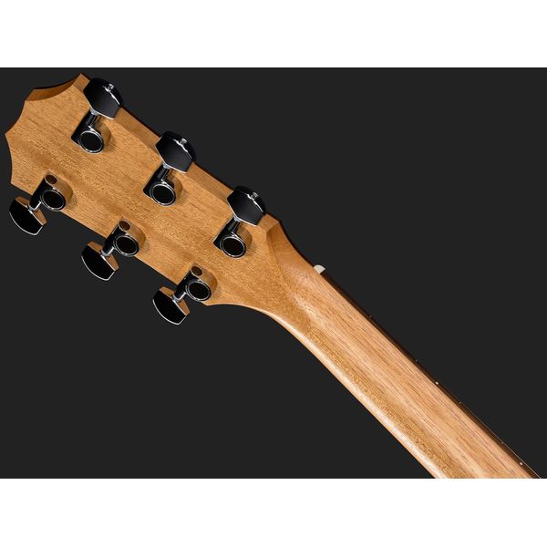 Taylor 117e Special Edition DTB