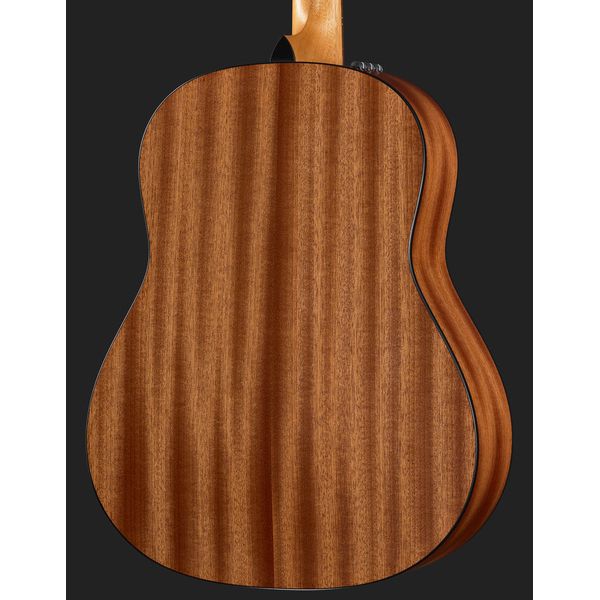 Taylor 117e Special Edition DTB