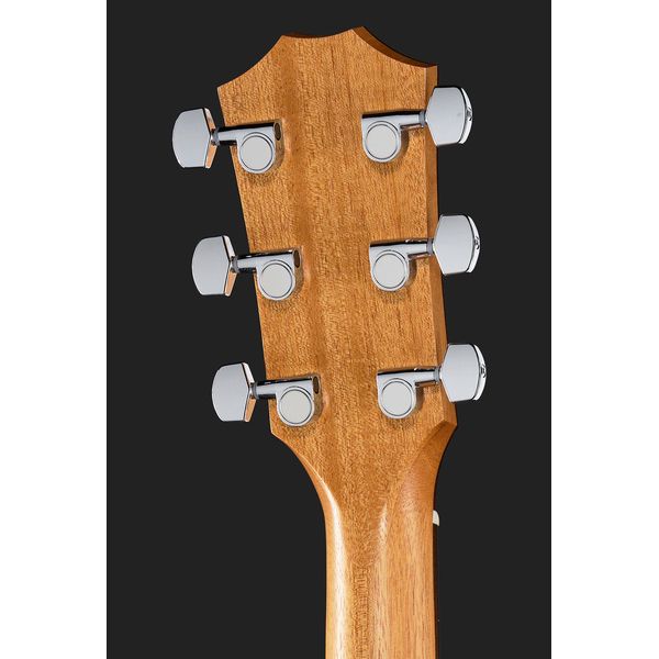 Taylor 117e Special Edition DTB