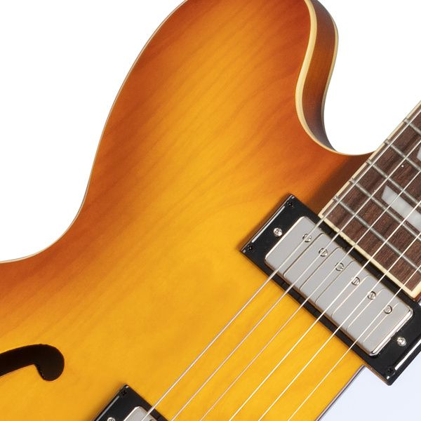 Epiphone Riviera RT