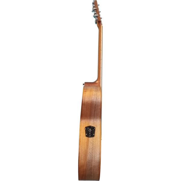 Cole Clark SAN1EC-BM