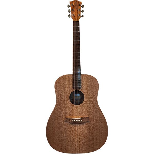Cole Clark FL1-SSO