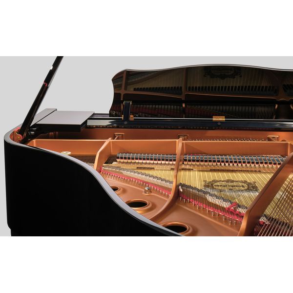 Yamaha GCB1 Black Polished