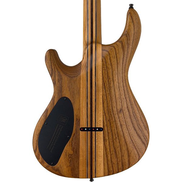 Mayones Guitars Regius Core 6 Poplar