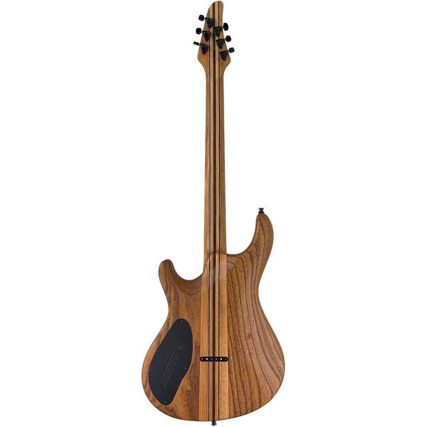 Mayones Guitars Regius Core 6 Poplar