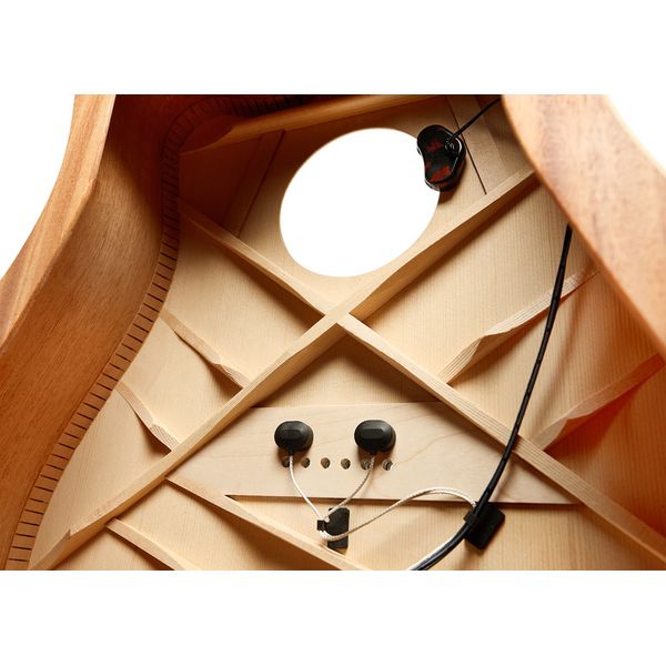L.R.Baggs HiFi DNA Advanced Bridge Plate