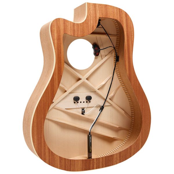 L.R.Baggs HiFi DNA Advanced Bridge Plate