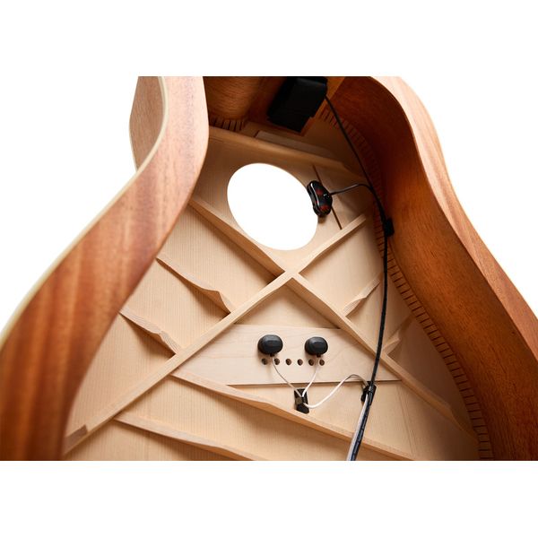 L.R.Baggs HiFi DNA Advanced Bridge Plate