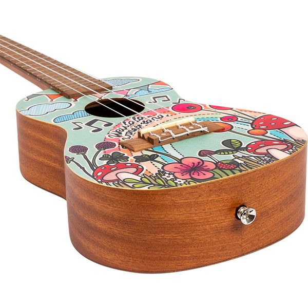 Flight AUC-33 Wonderland Concert Ukul