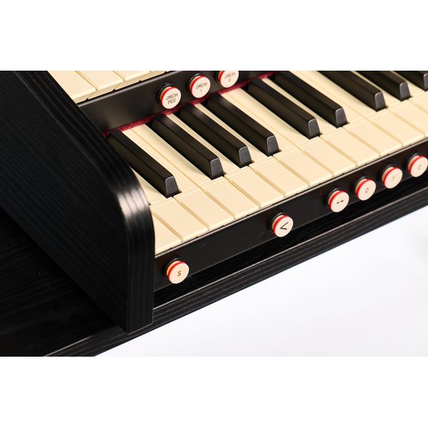 Viscount Cantorum Duo Plus Black