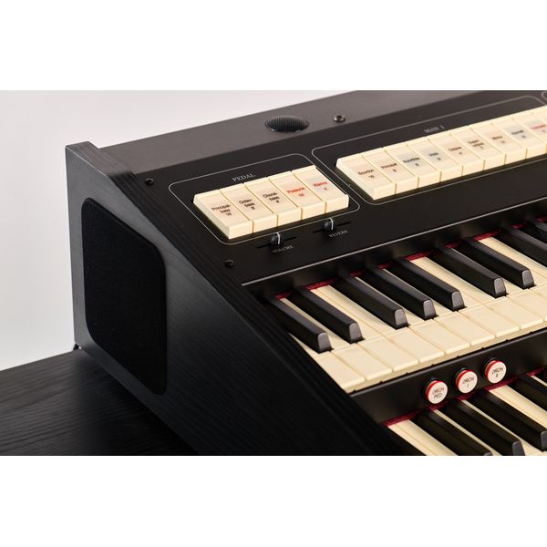 Viscount Cantorum Duo Plus Black