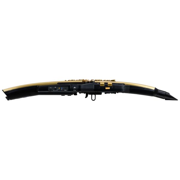 Roland Aerophone Pro AE-30A Gold