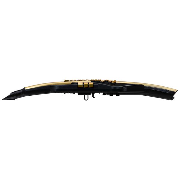 Roland Aerophone Pro AE-30A Gold