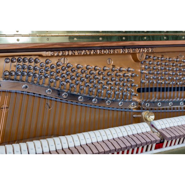 Steinway & Sons V-125 Amberwood