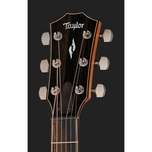 Taylor 814ce SE Sassafras Next Gen