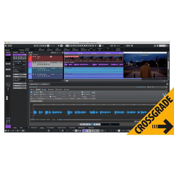 Steinberg Nuendo 15 CG Nuendo Live