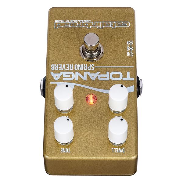 Catalinbread Topanga Limited Gold'n'White