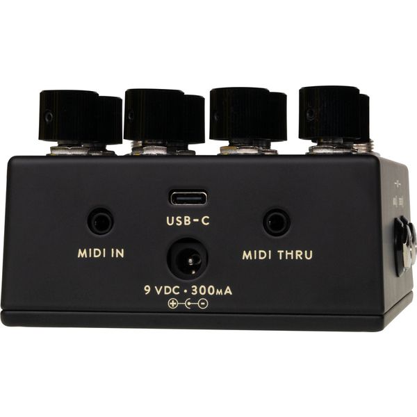 Walrus Audio Lore MKII Black