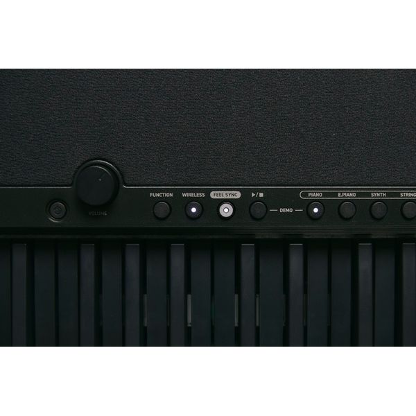 Casio CT-FS1BK