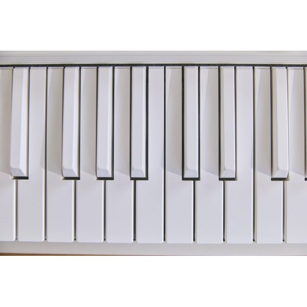 Casio CT-FS1WE