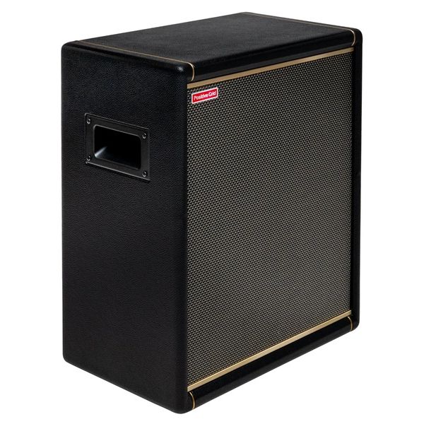 Positive Grid Spark Cab 2 BK