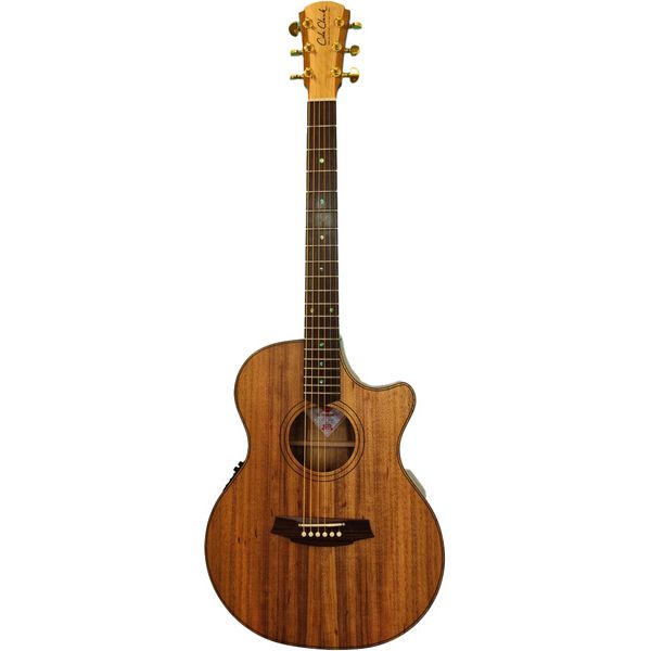 Cole Clark TL2EC-BLBLR