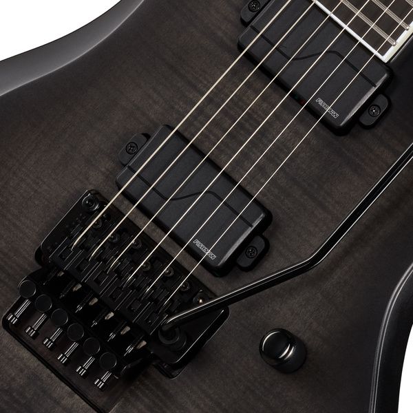 Epiphone Prophecy Victory FR OSS