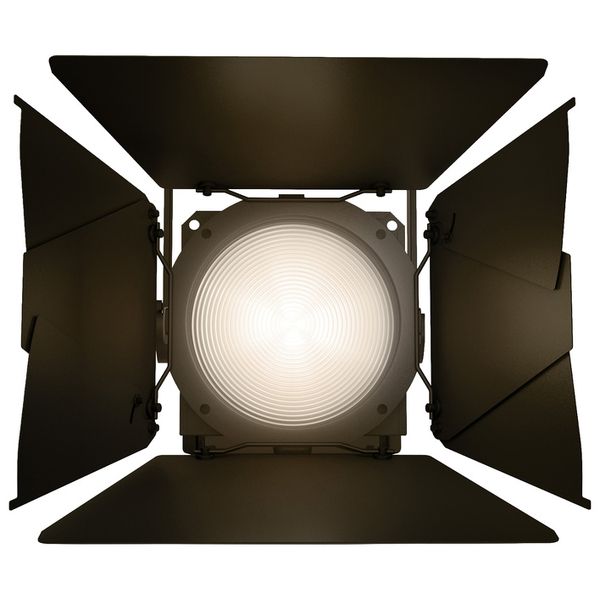 Cameo F2 T IP