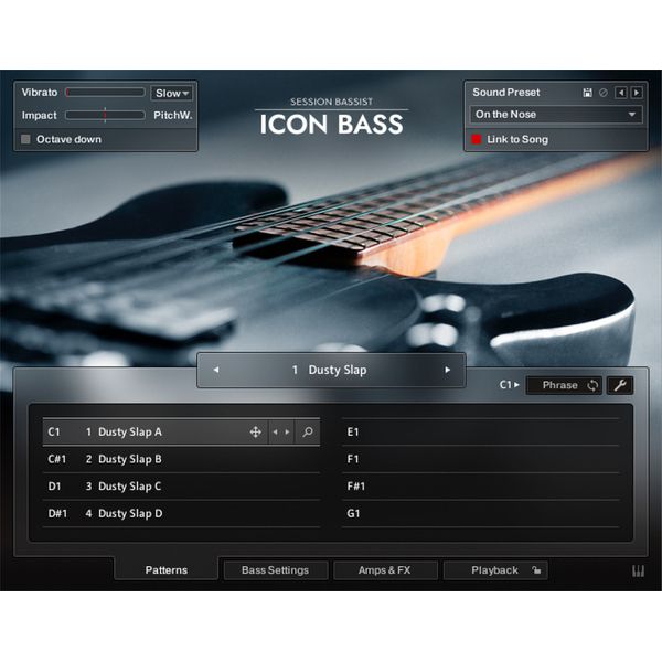 Native Instruments Session Bassist Icon Bass