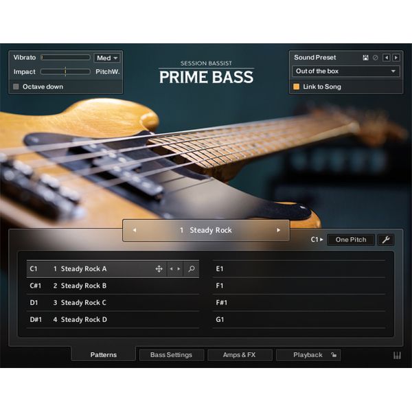 Native Instruments Session Bassist Prime Bass