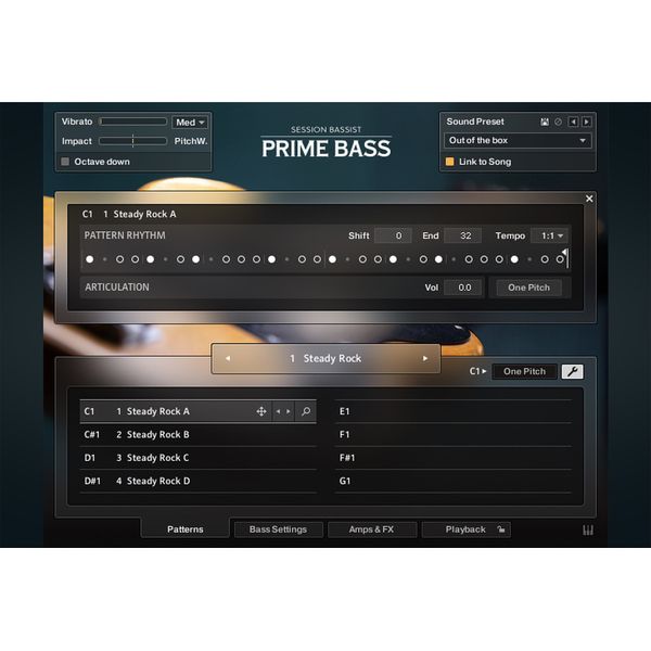 Native Instruments Session Bassist Prime Bass