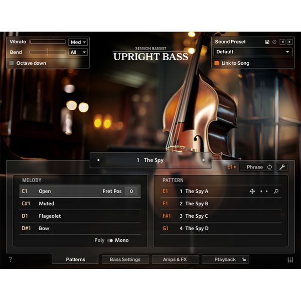 Native Instruments Session Bassist Upright Bass