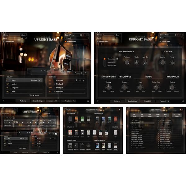 Native Instruments Session Bassist Upright Bass