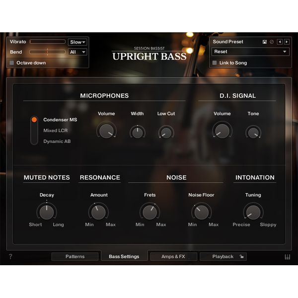 Native Instruments Session Bassist Upright Bass