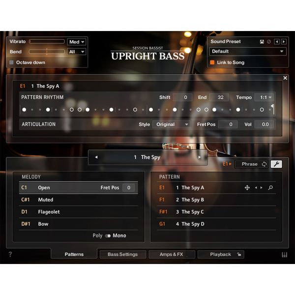 Native Instruments Session Bassist Upright Bass