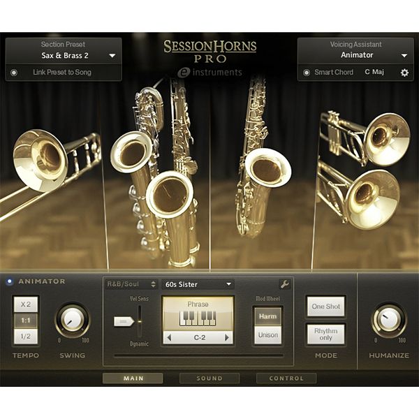 Native Instruments Session Horns Pro