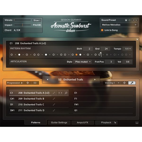 Native Instruments SG Acoustic Sunburst Deluxe
