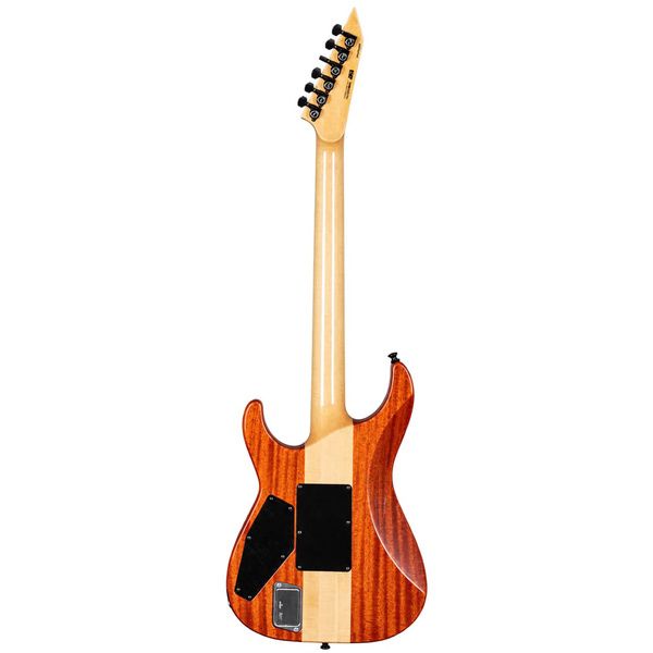 ESP M-II USA NTB FR AQMSB FL