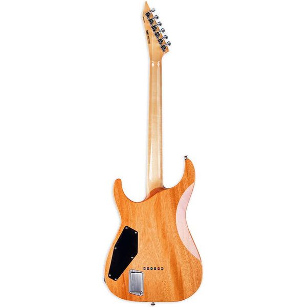 ESP Horizon-II USA FM FL CSB
