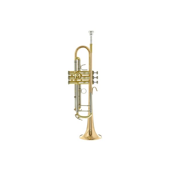 B&S 3143/2GLB-L Challenger B-Stock