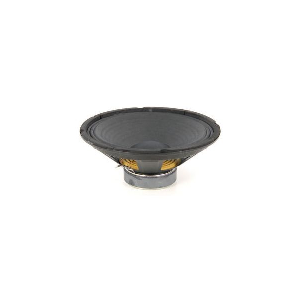 the t.amp Speaker 10" for PA 408 B-Stock