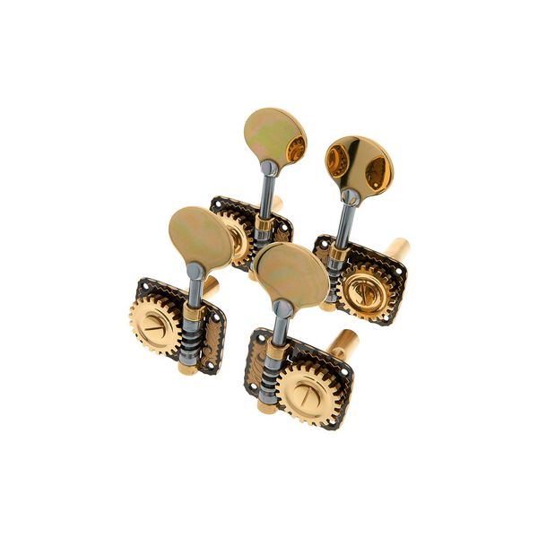 Rubner Bass Machines 140-109d B-Stock