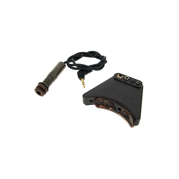 L.R.Baggs Session VTC B-Stock